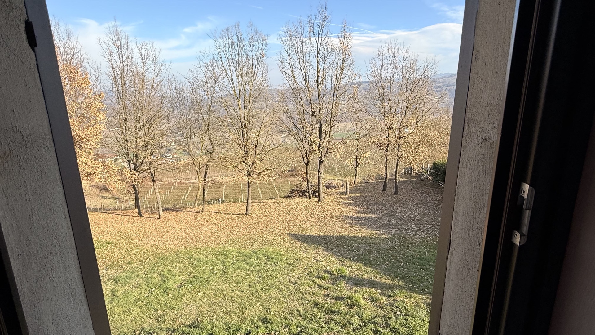 Vineyards surrounding Villa Sorì in Cessole, a vineyard retreat in Piedmont, Italy