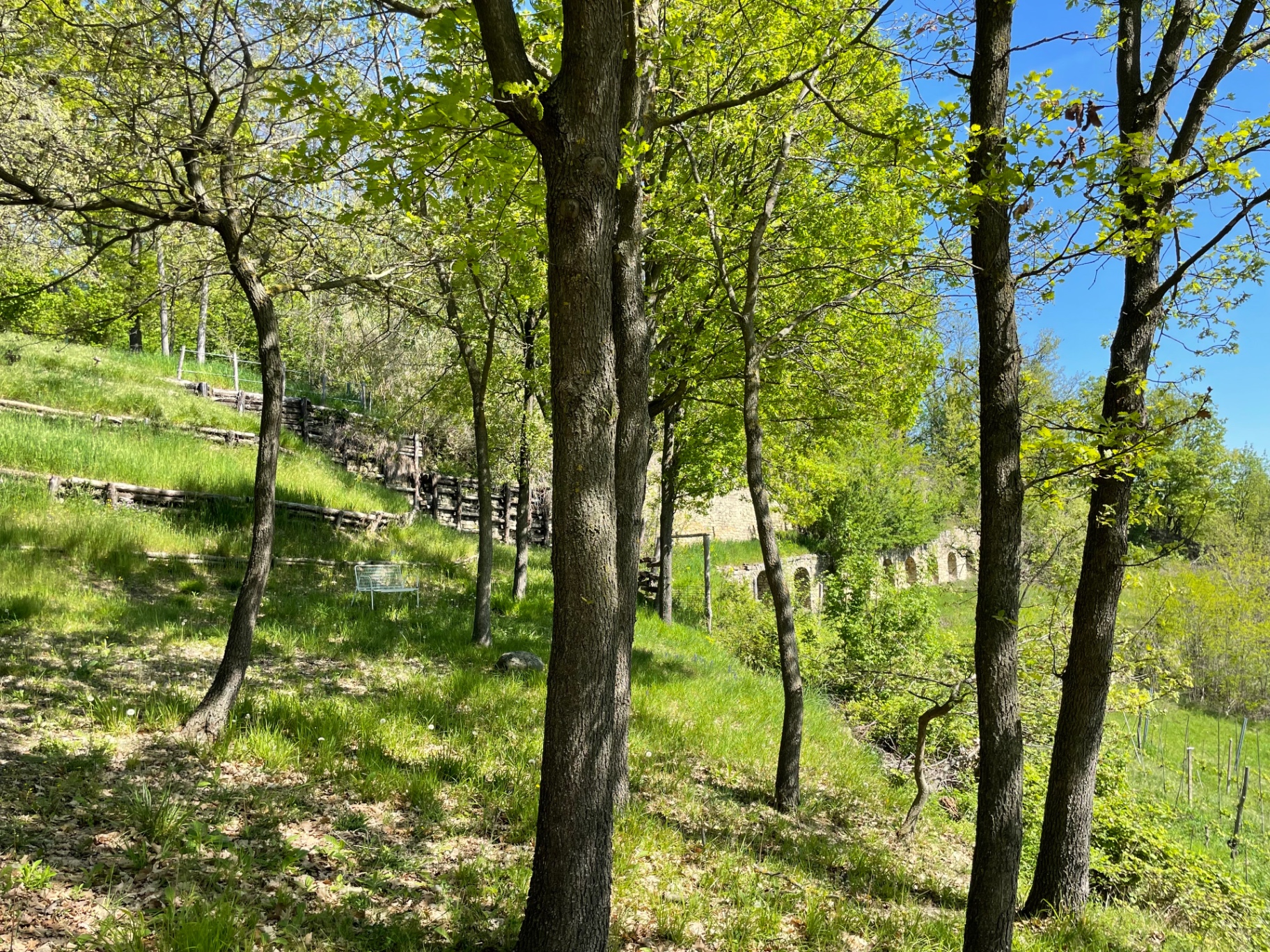 Panorama of the UNESCO Langhe vineyards near Cessole, Piedmont