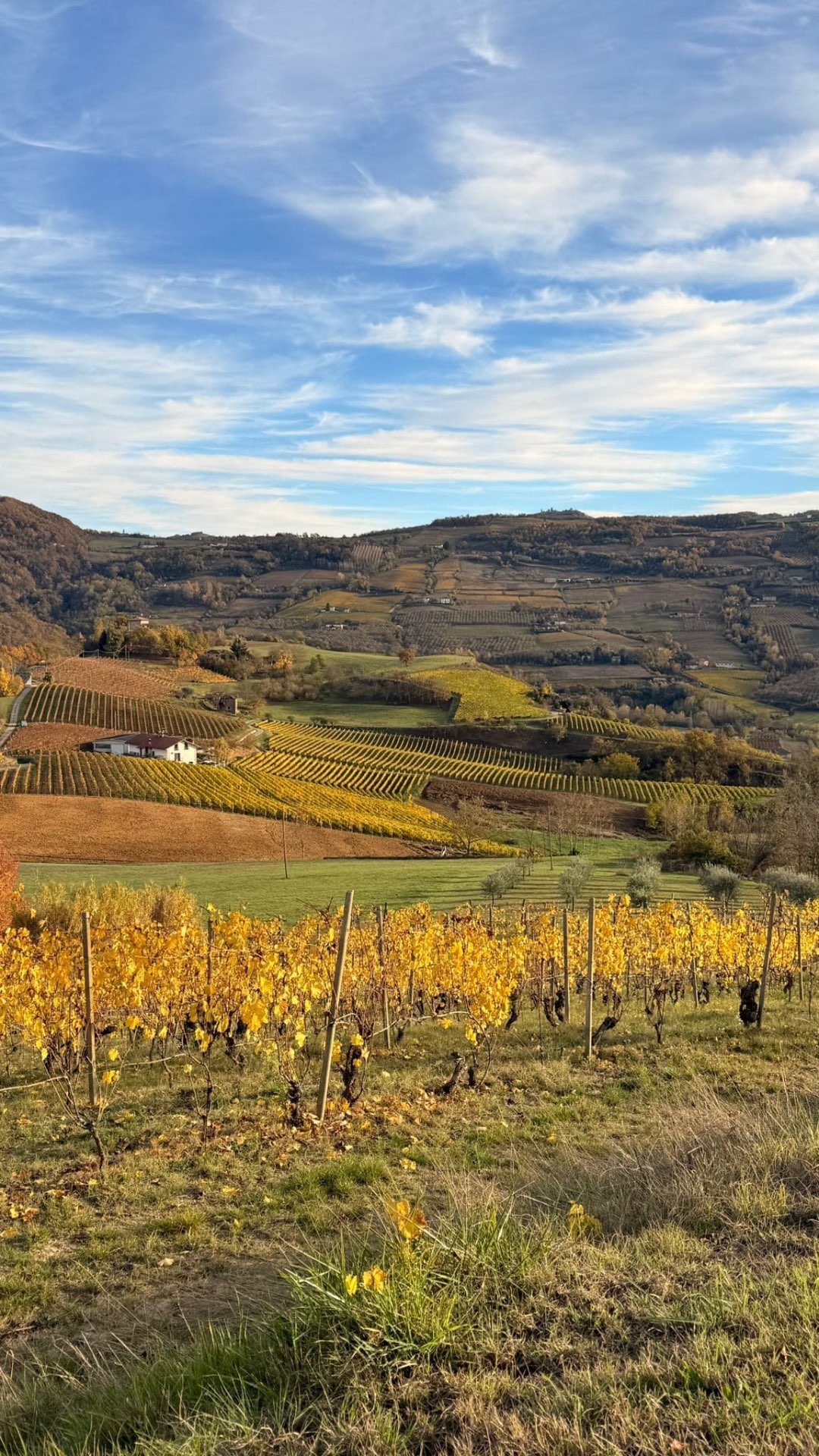 Sunset over the vineyards of Alta Langa from Villa Sorì, a private retreat in the Langhe, Piedmont