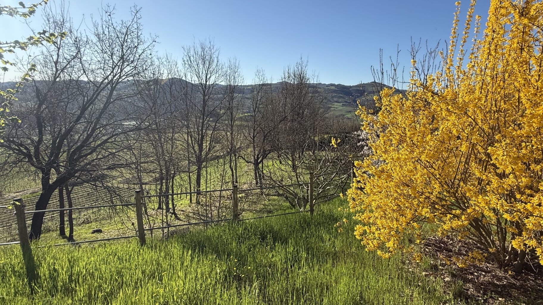 Country road through the Langhe vineyards — the drive from Milan to Villa Sorì
